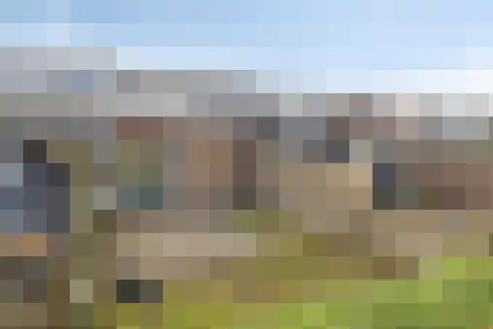 Molendijk 65 Dinteloord thumbnail 27