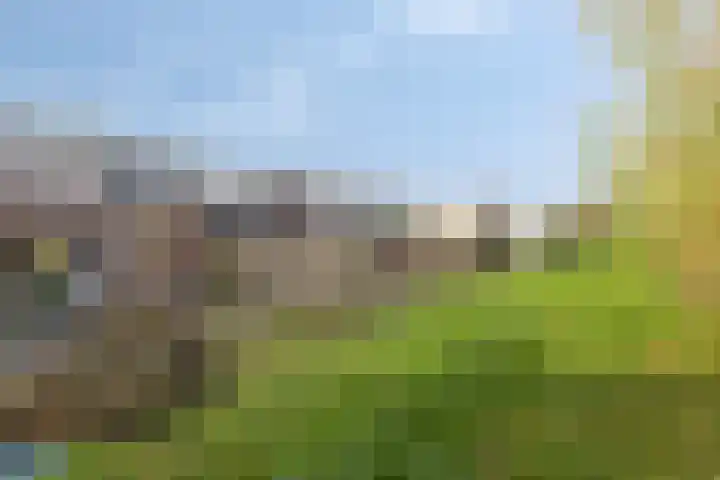Molendijk 65 Dinteloord thumbnail 28
