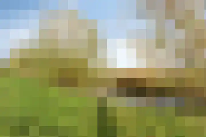 Molendijk 65 Dinteloord thumbnail 29