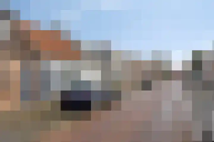 Molendijk 65 Dinteloord thumbnail 30