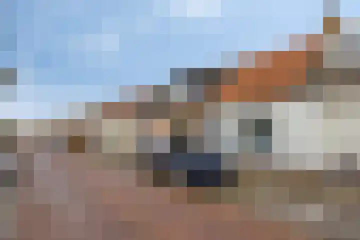 Molendijk 65 Dinteloord thumbnail 31