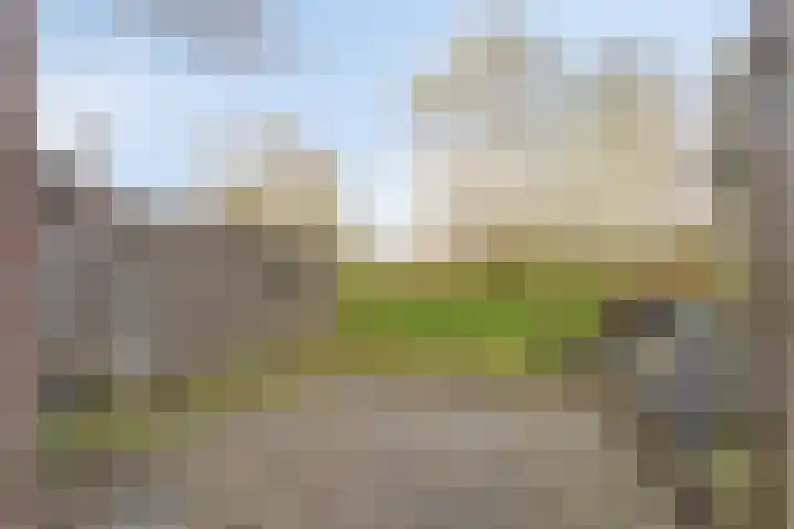 Molendijk 65 Dinteloord thumbnail 4