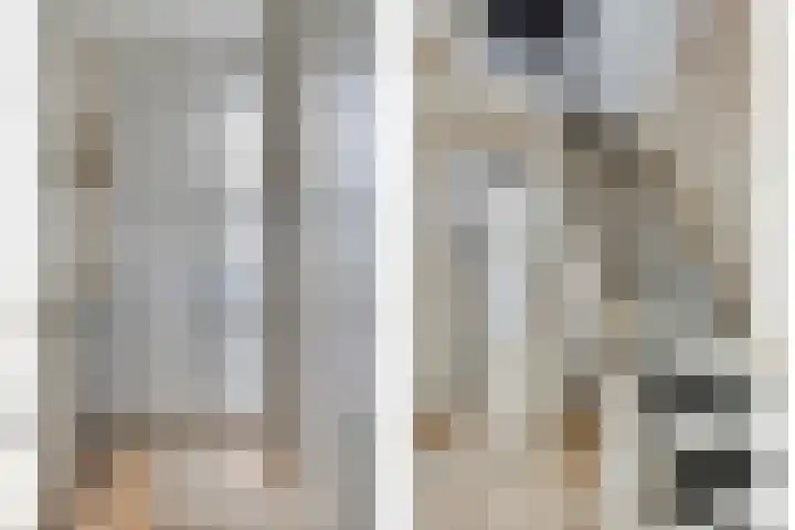Molendijk 65 Dinteloord thumbnail 7