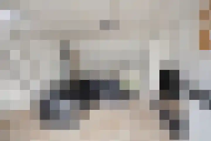 Molendijk 65 Dinteloord thumbnail 8