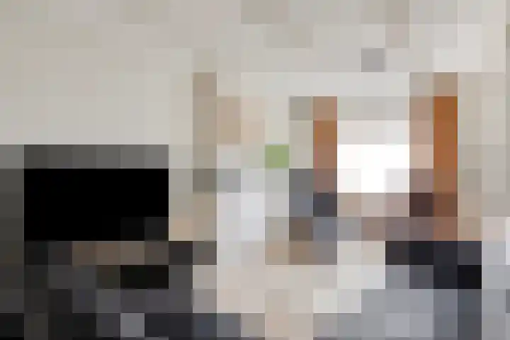Molendijk 65 Dinteloord thumbnail 9