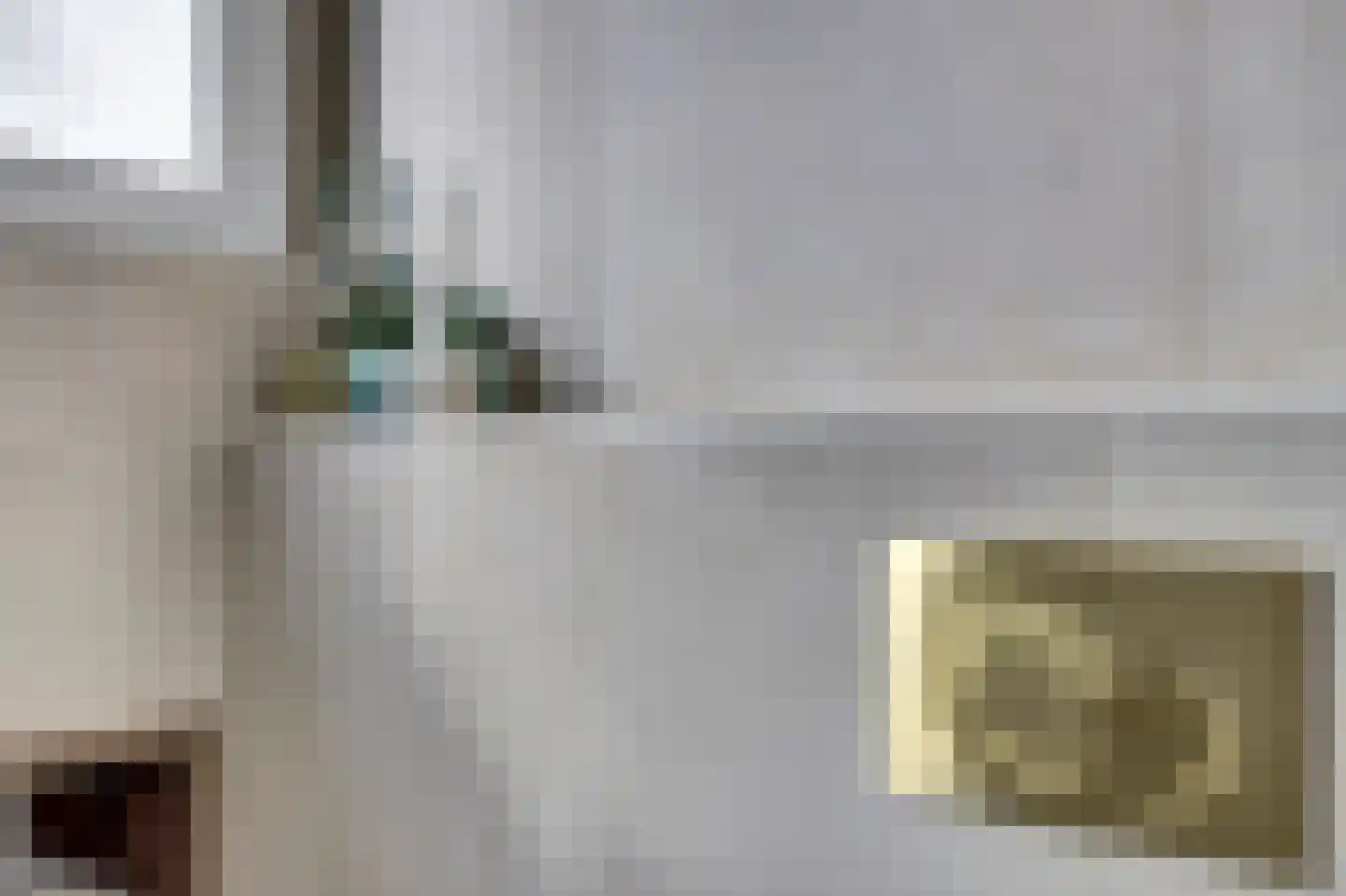 Molendijk 66 's-Heerenhoek thumbnail 37