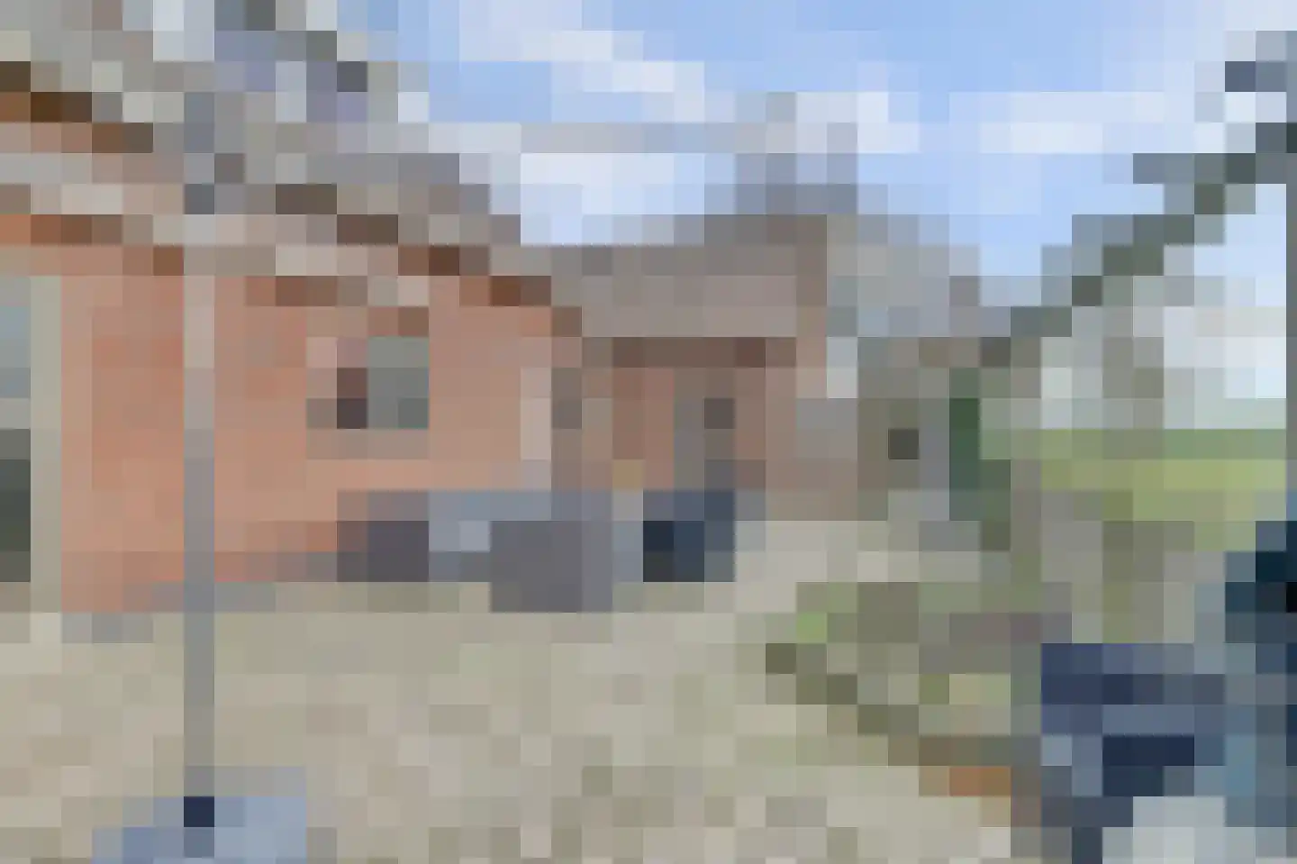 Molendijk 66 's-Heerenhoek thumbnail 45