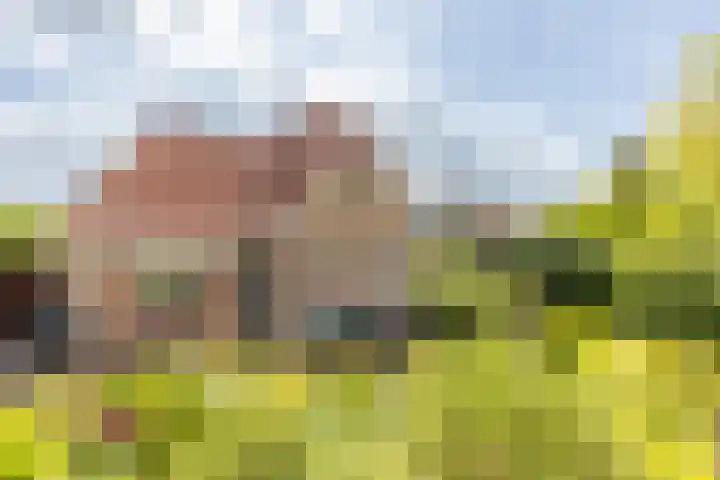 Molendijk 67 Rhoon thumbnail 4