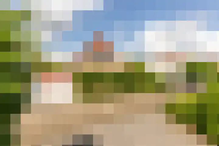 Molendijk 67 Rhoon thumbnail 5