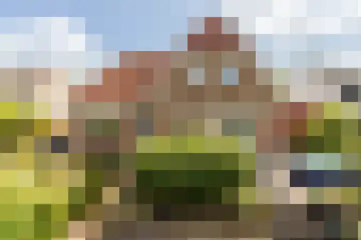 Molendijk 67 Rhoon thumbnail 50