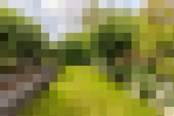 Molendijk 67 Rhoon thumbnail 55