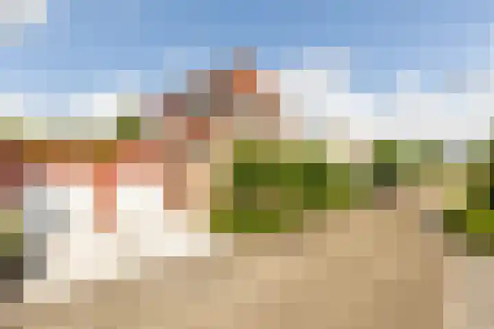 Molendijk 67 Rhoon thumbnail 6