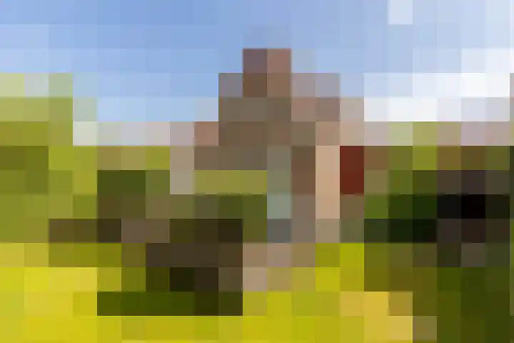 Molendijk 67 Rhoon thumbnail 61