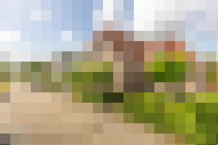 Molendijk 67 Rhoon thumbnail 9