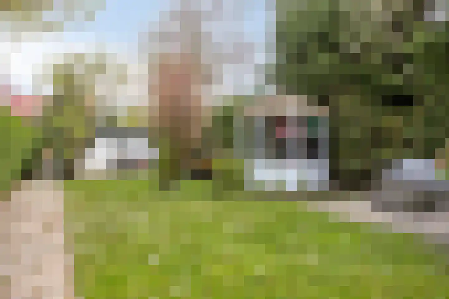 Molendijk 68 a Krimpen aan de Lek thumbnail 26