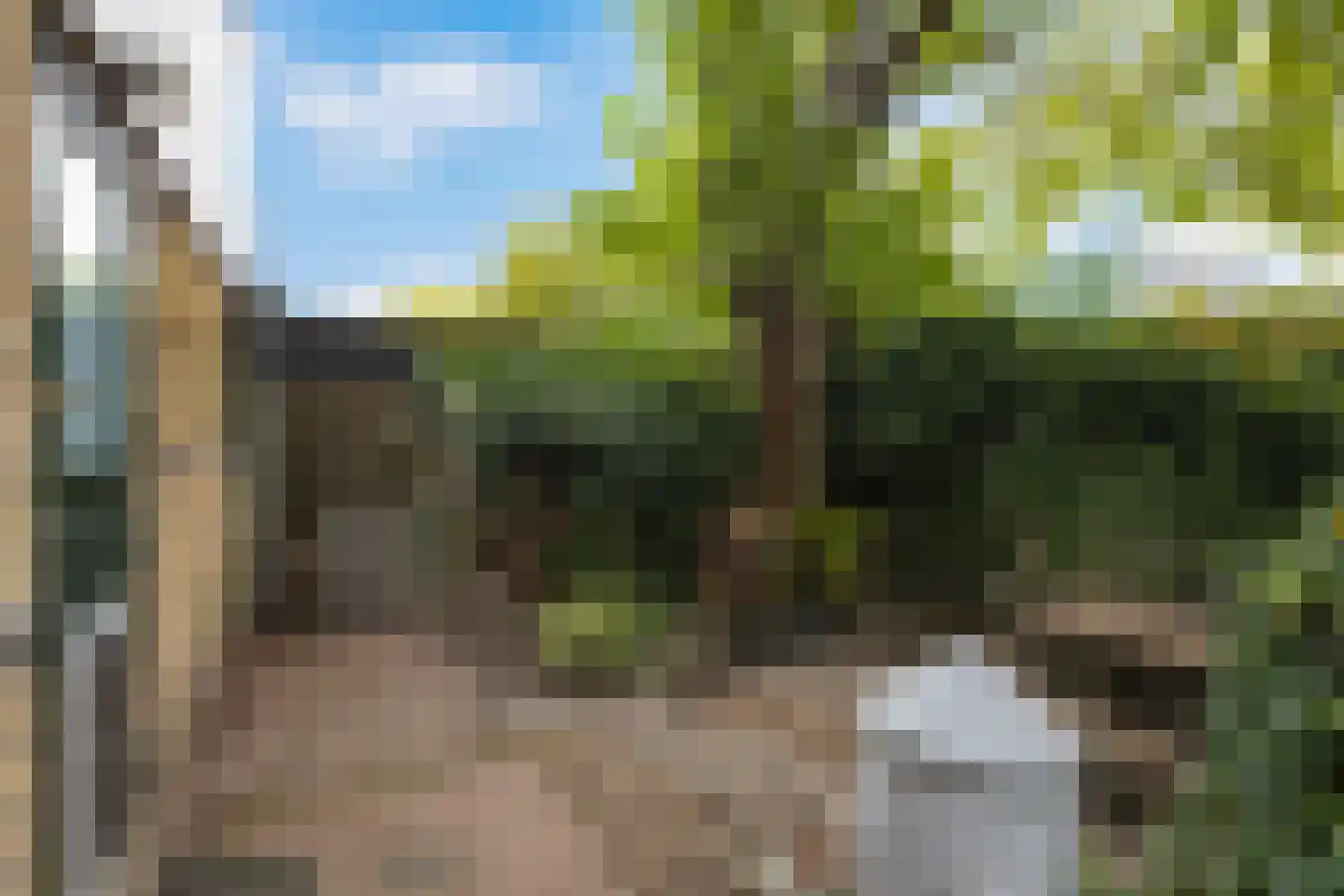 Molendijk 69 Goudswaard thumbnail 37