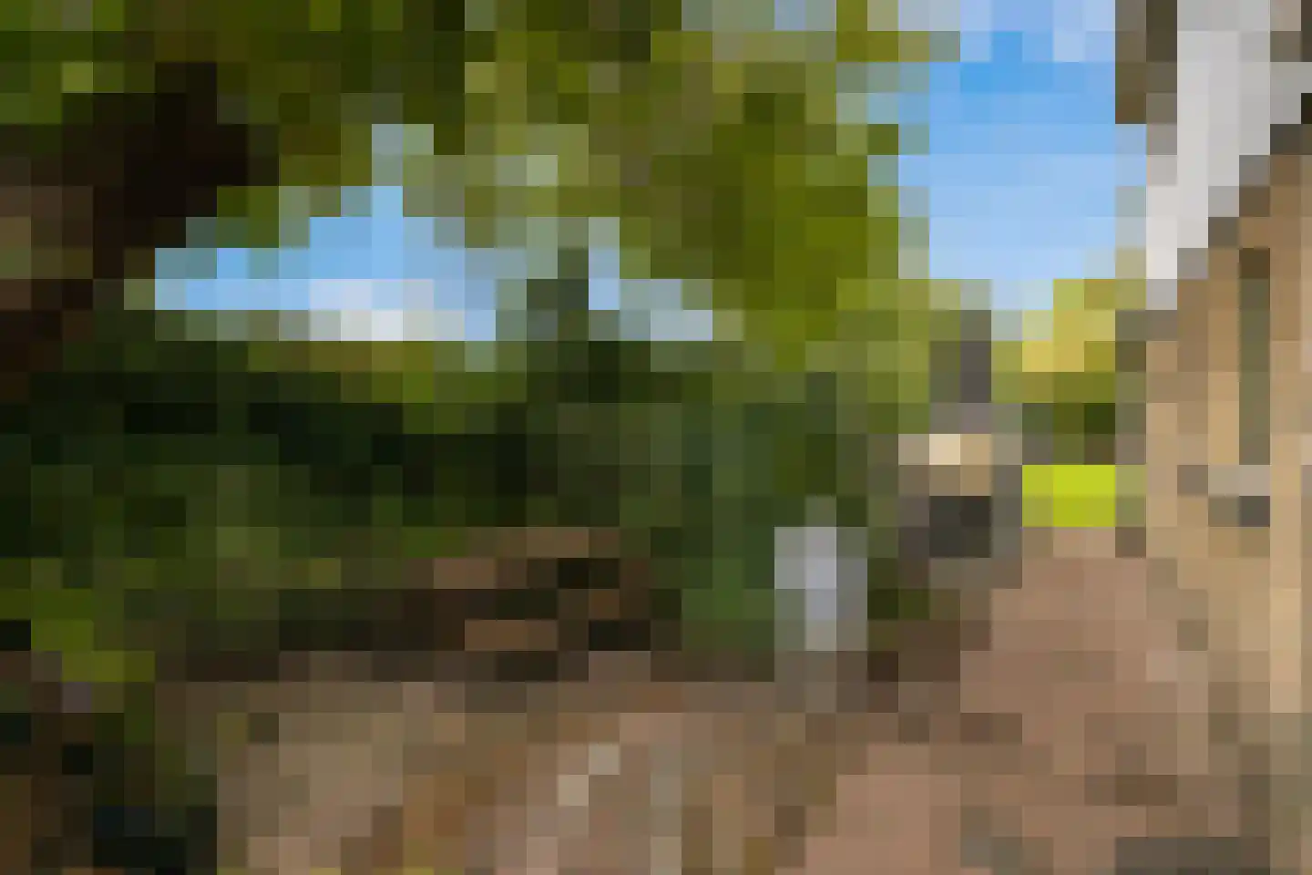 Molendijk 69 Goudswaard thumbnail 38