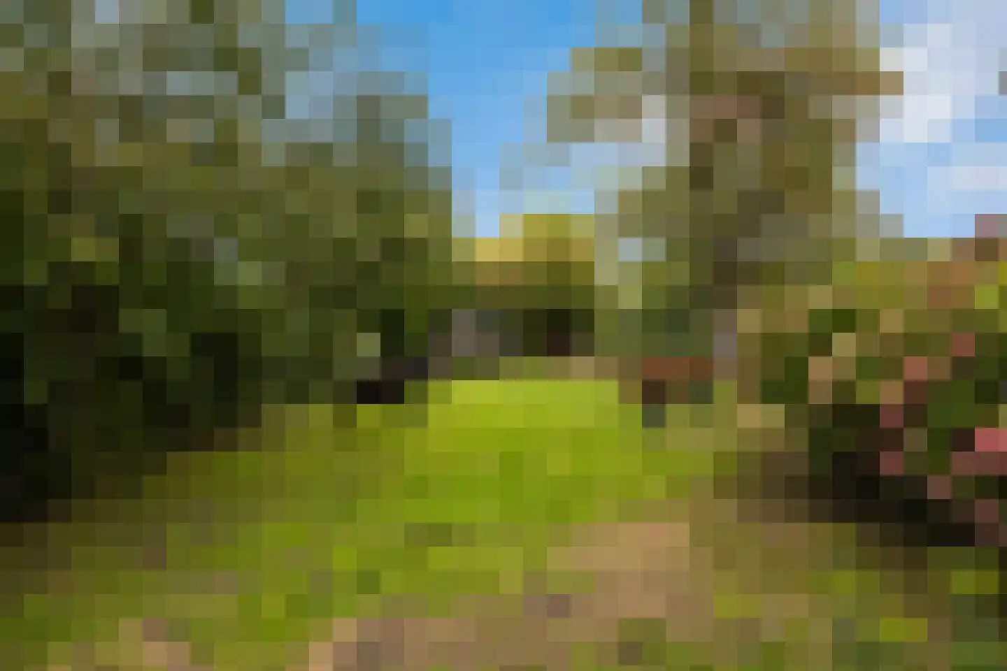 Molendijk 69 Goudswaard thumbnail 39