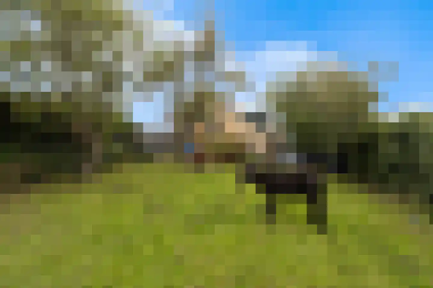 Molendijk 69 Goudswaard thumbnail 4