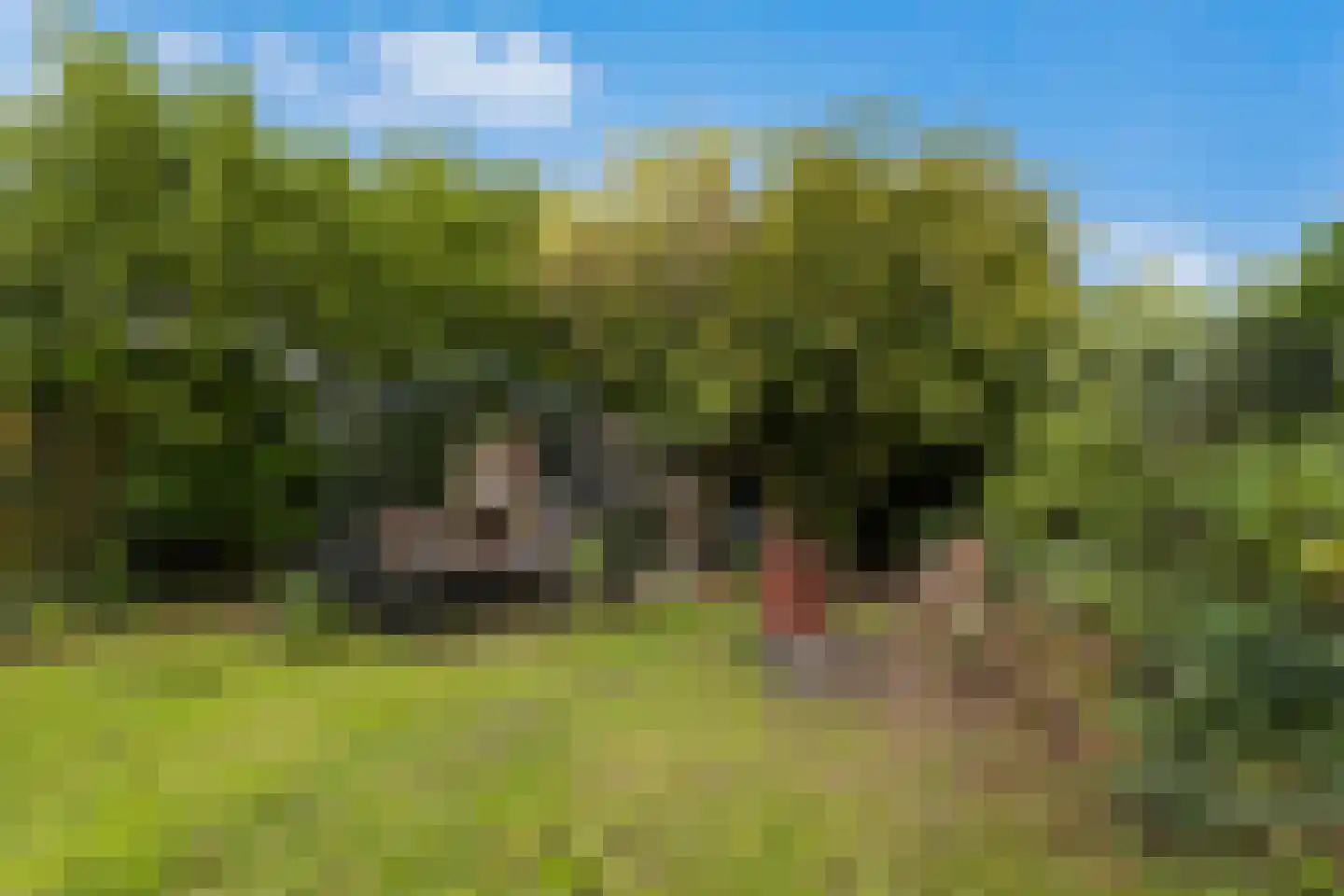 Molendijk 69 Goudswaard thumbnail 41