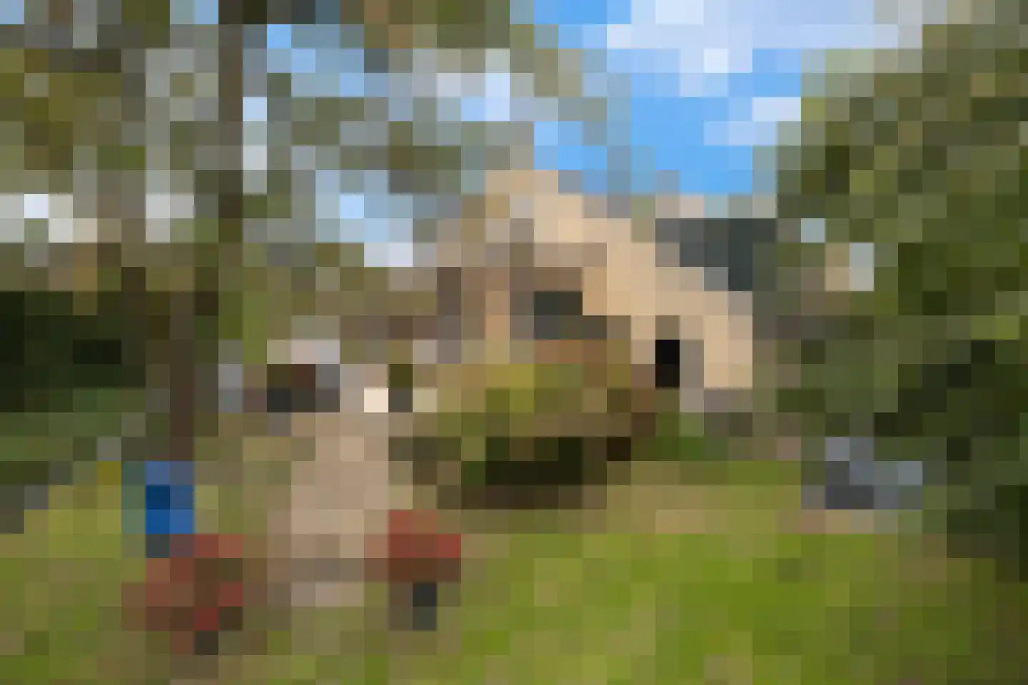 Molendijk 69 Goudswaard thumbnail 43