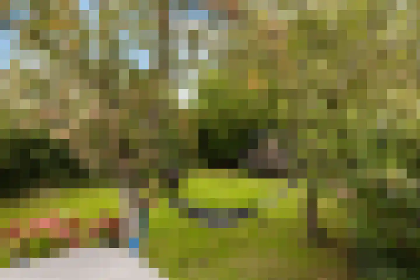 Molendijk 69 Goudswaard thumbnail 45