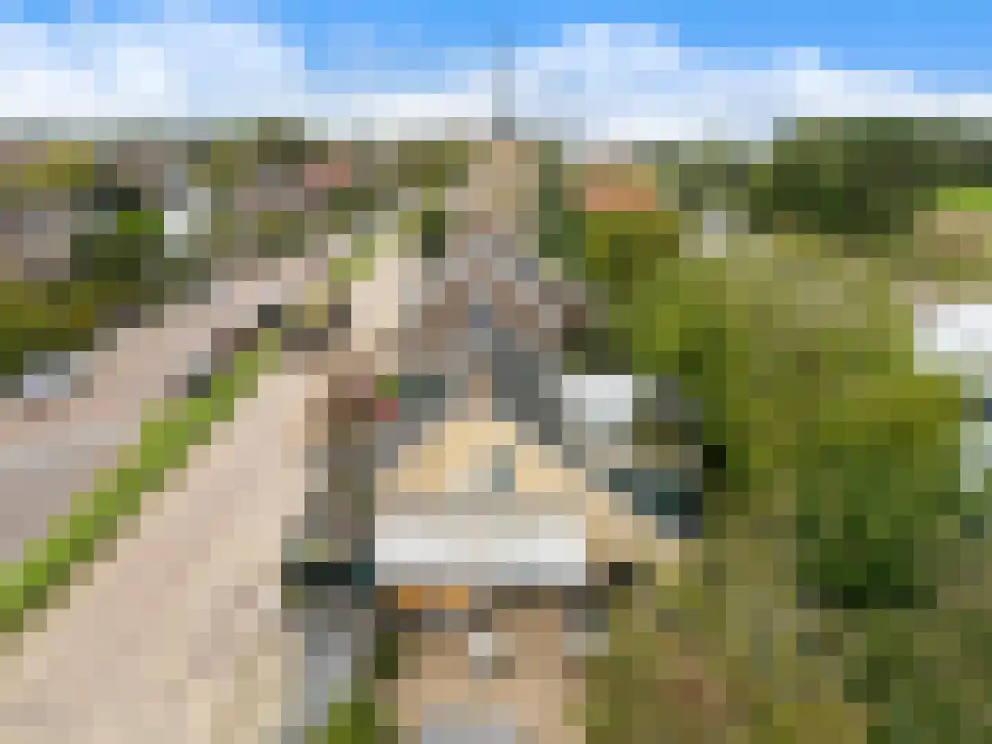 Molendijk 69 Goudswaard thumbnail 56