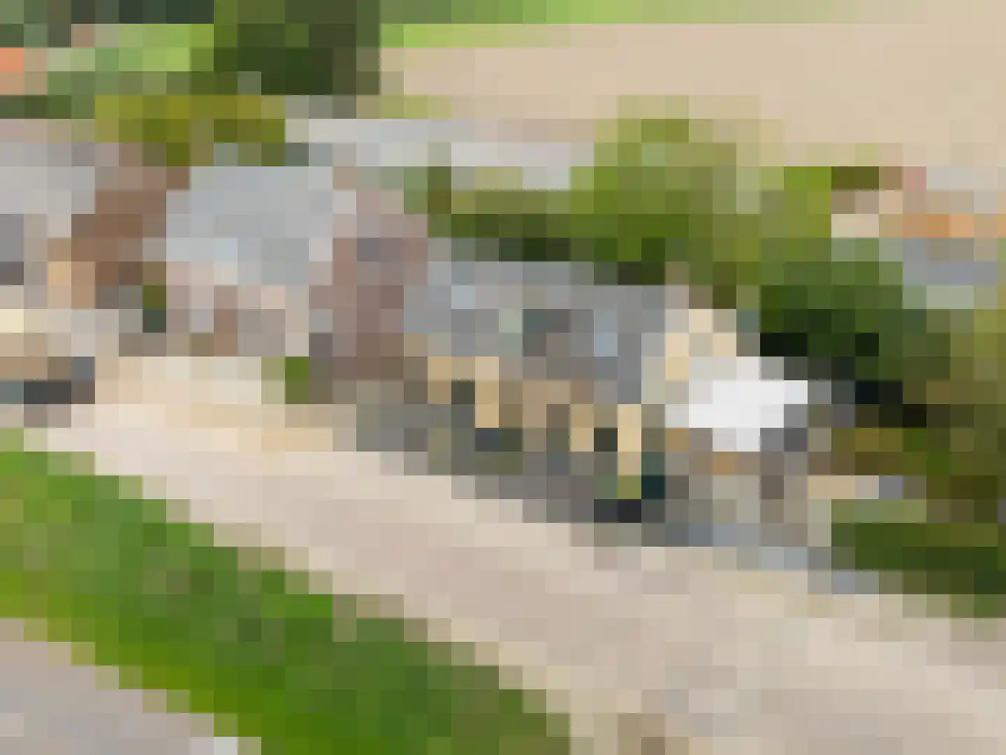 Molendijk 69 Goudswaard thumbnail 58