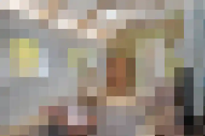 Molendijk 7 Lage Zwaluwe thumbnail 11