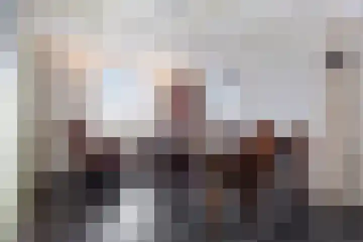 Molendijk 7 Lage Zwaluwe thumbnail 15