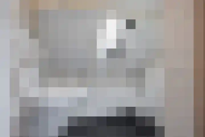 Molendijk 7 Lage Zwaluwe thumbnail 29