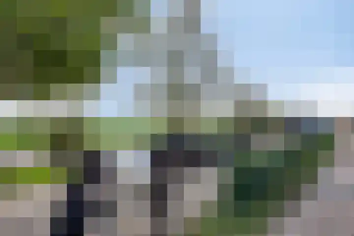 Molendijk 7 Lage Zwaluwe foto 3