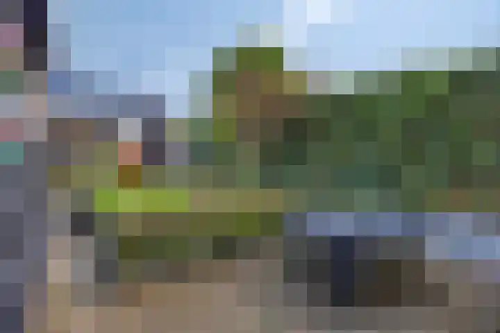 Molendijk 7 Lage Zwaluwe thumbnail 36
