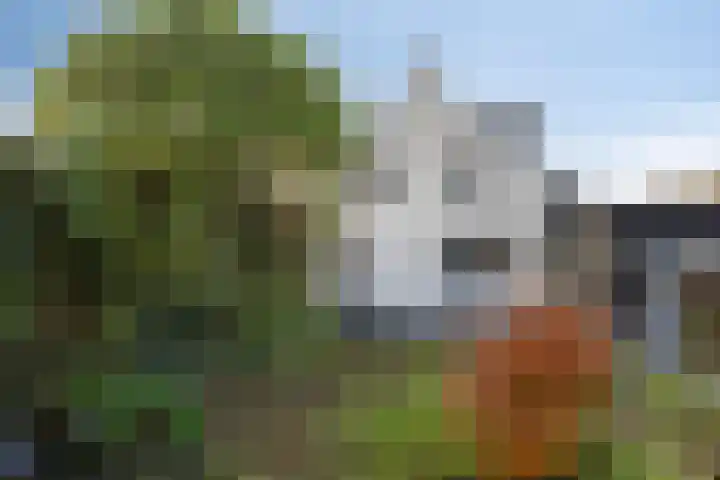 Molendijk 7 Lage Zwaluwe thumbnail 38