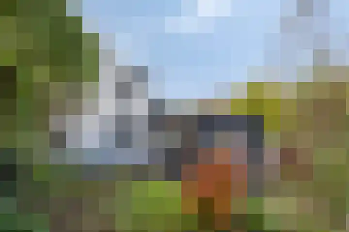 Molendijk 7 Lage Zwaluwe thumbnail 39