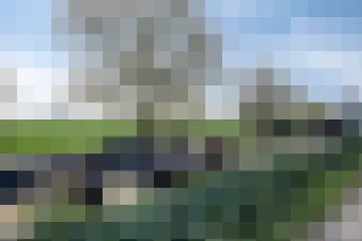 Molendijk 7 Lage Zwaluwe thumbnail 41