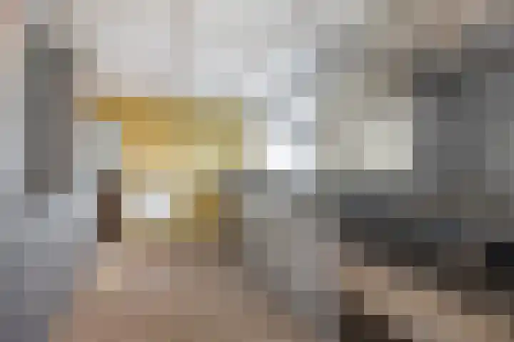 Molendijk 7 Lage Zwaluwe thumbnail 6