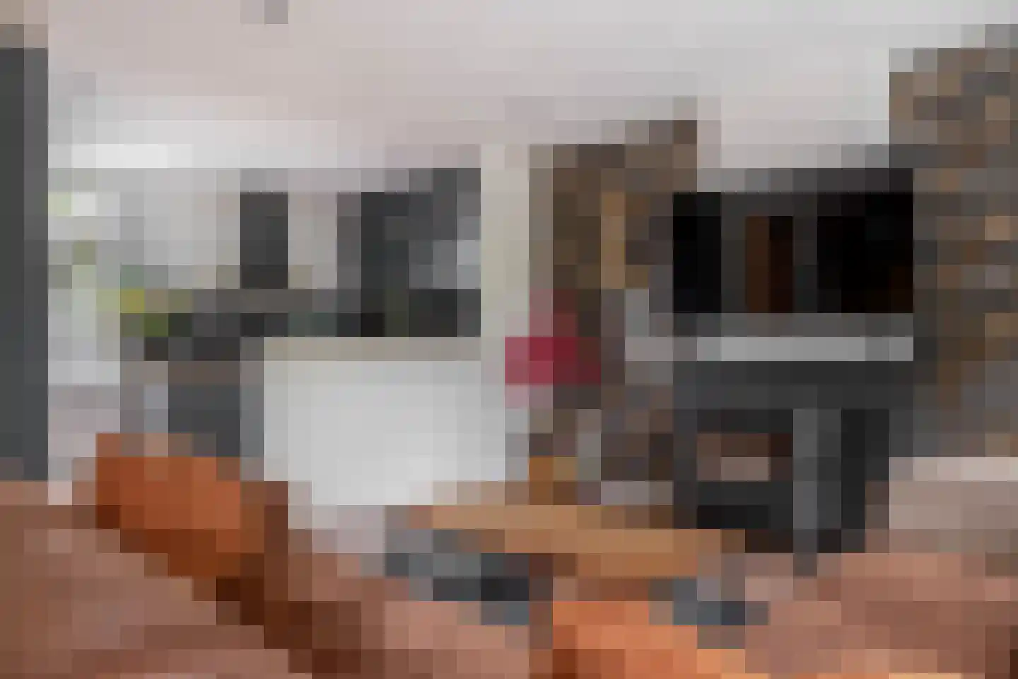 Molendijk 74 Krimpen aan de Lek thumbnail 11