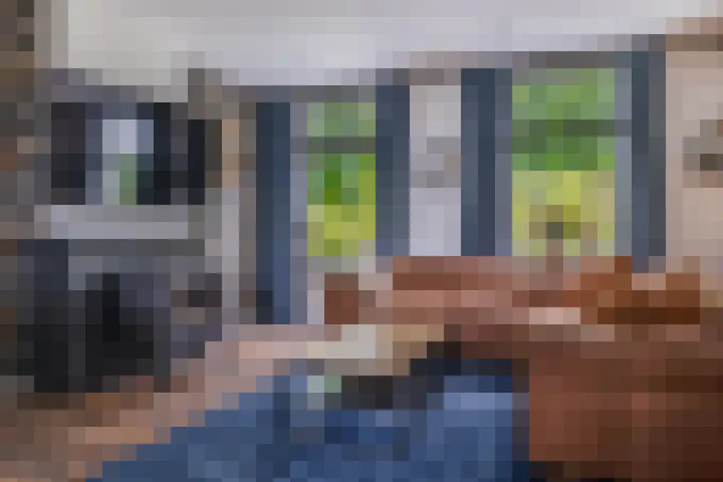 Molendijk 74 Krimpen aan de Lek foto 2