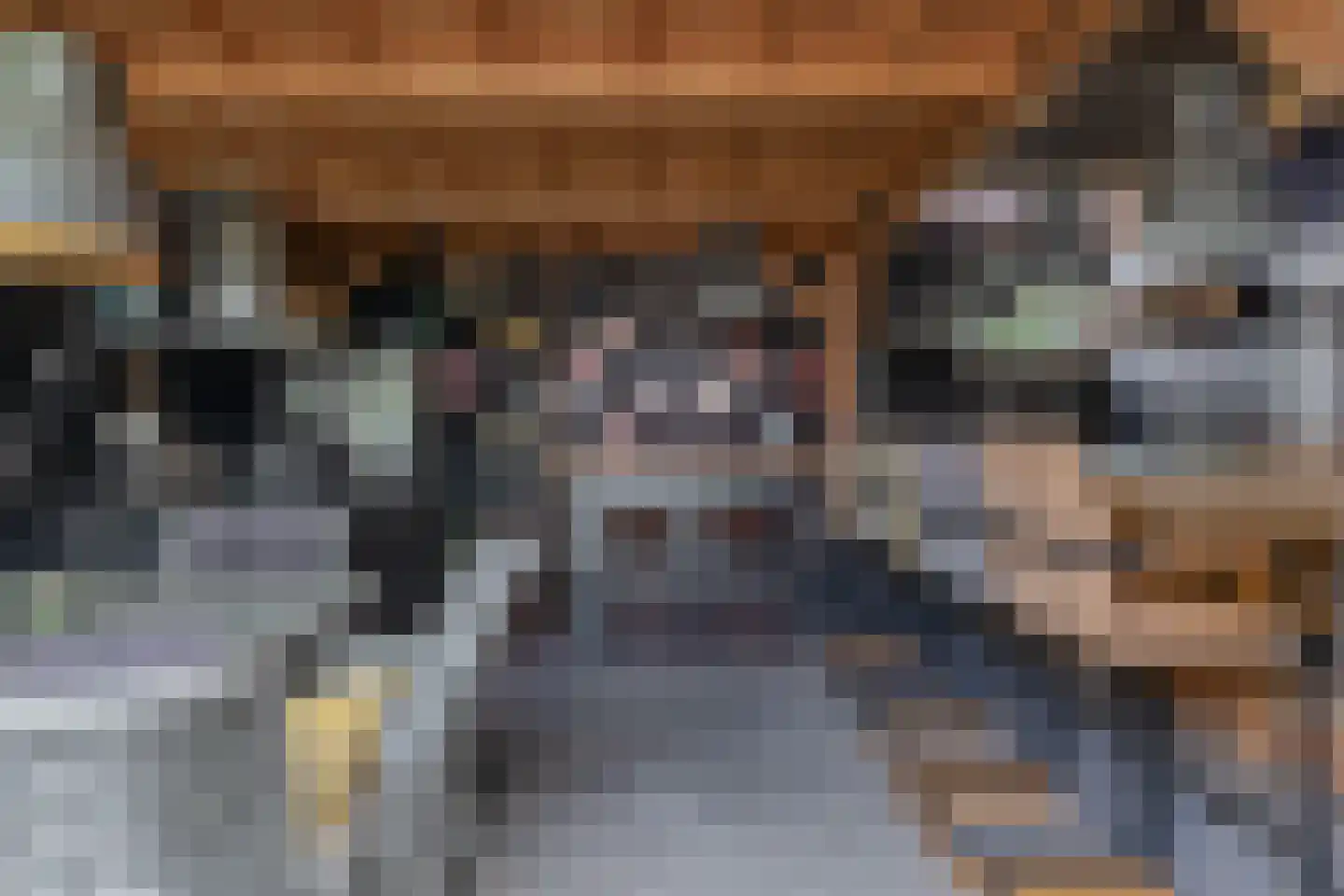 Molendijk 74 Krimpen aan de Lek thumbnail 31