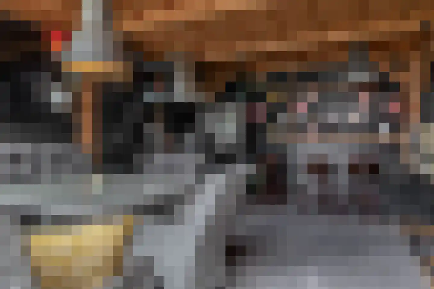 Molendijk 74 Krimpen aan de Lek thumbnail 32