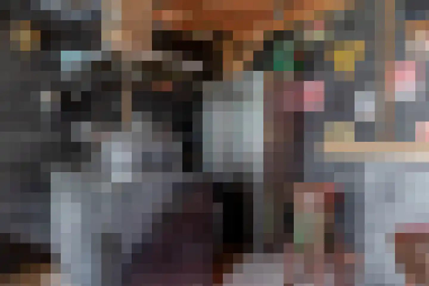 Molendijk 74 Krimpen aan de Lek thumbnail 33
