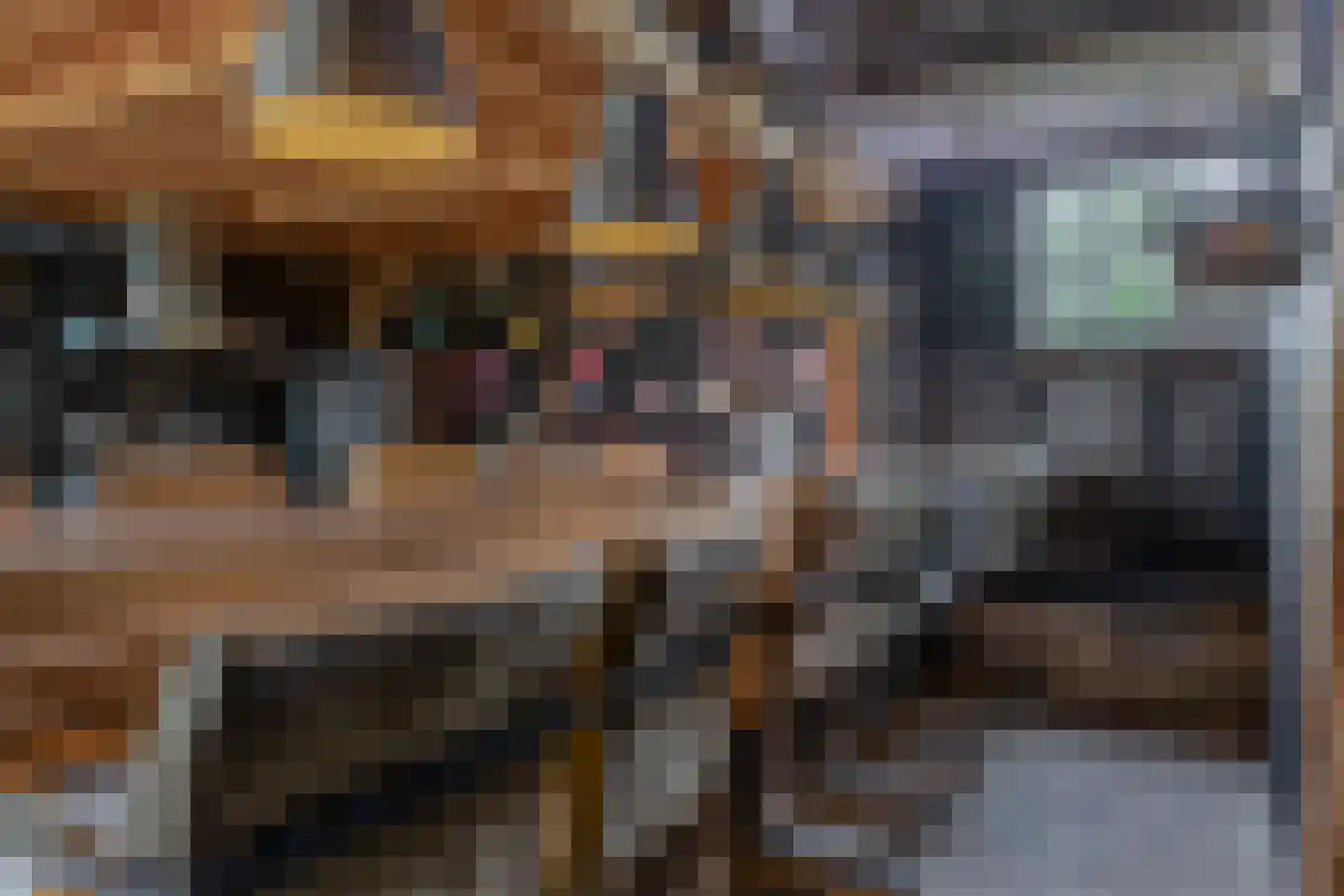 Molendijk 74 Krimpen aan de Lek thumbnail 35