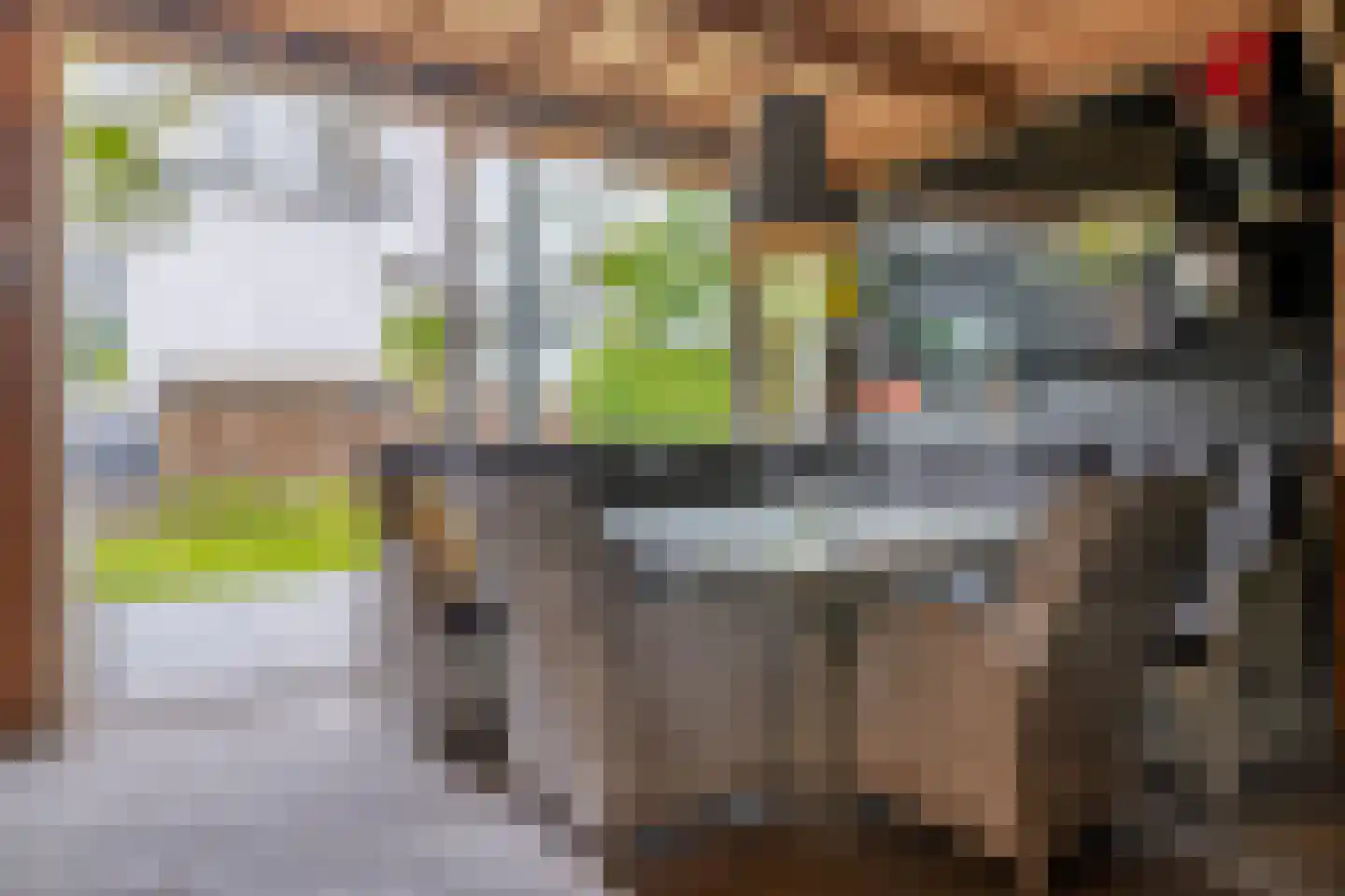 Molendijk 74 Krimpen aan de Lek thumbnail 36