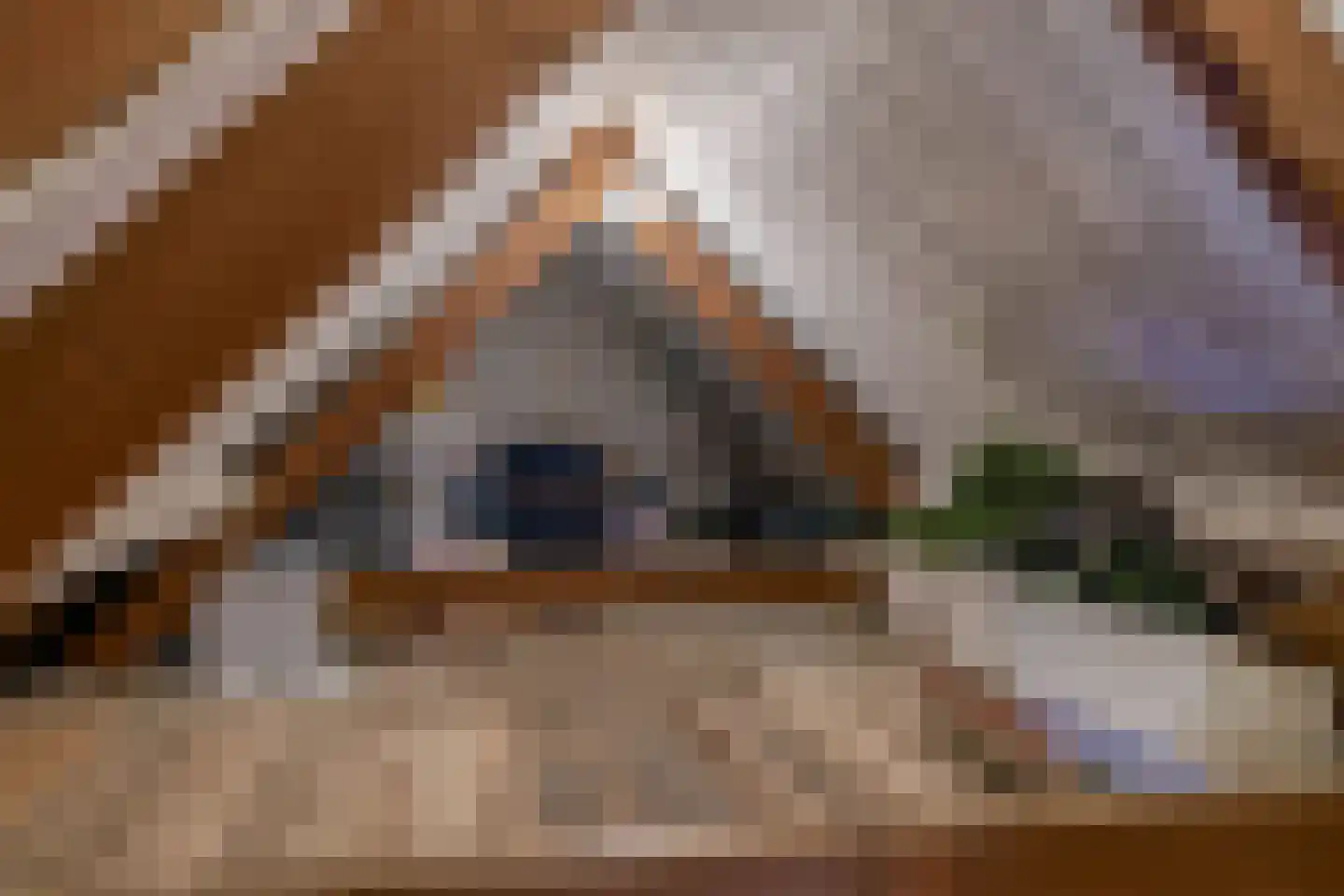 Molendijk 74 Krimpen aan de Lek thumbnail 37