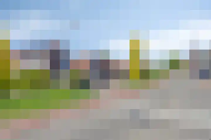 Molendijk 74 Stad aan 't Haringvliet thumbnail 26