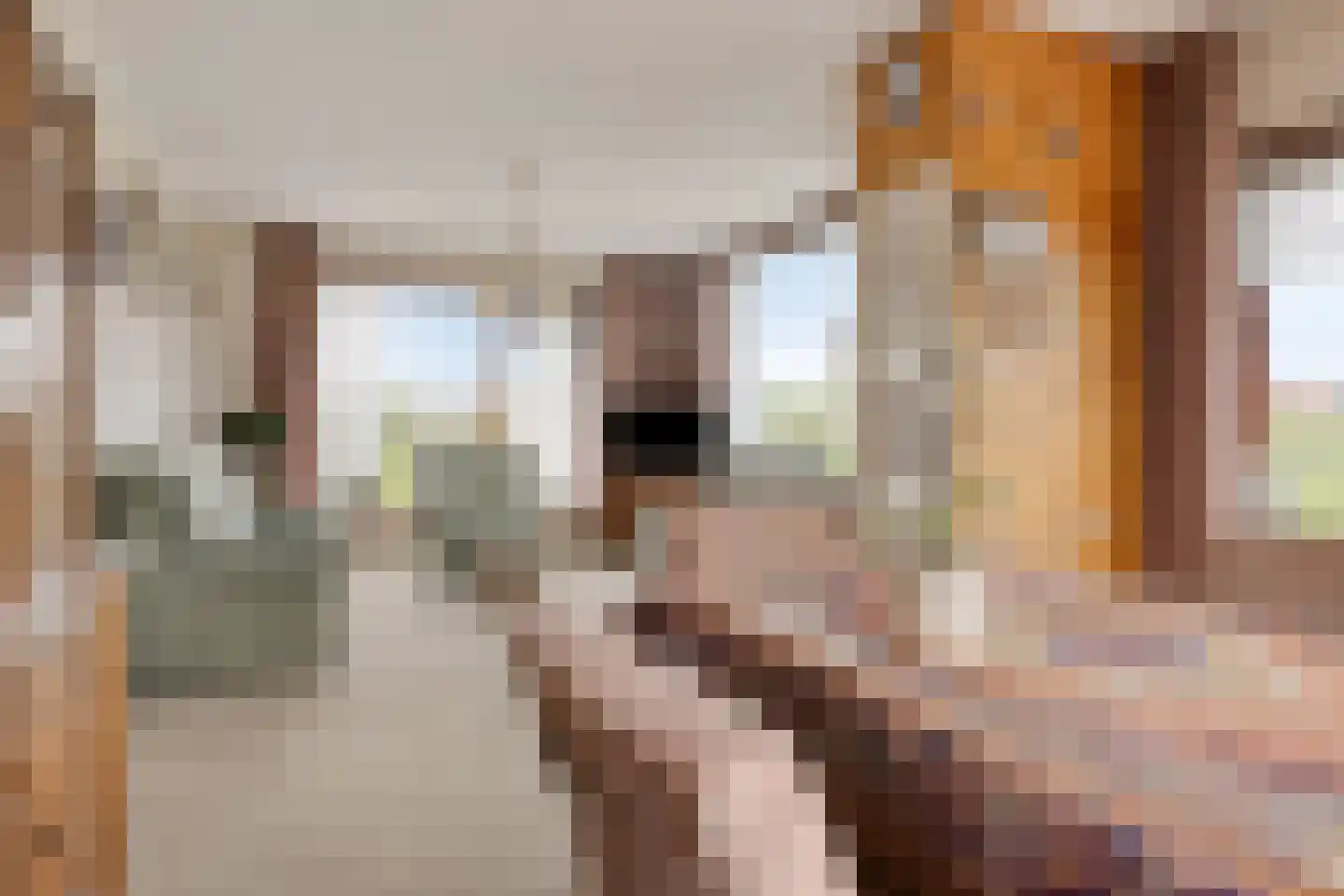 Molendijk 75 Herkingen thumbnail 10