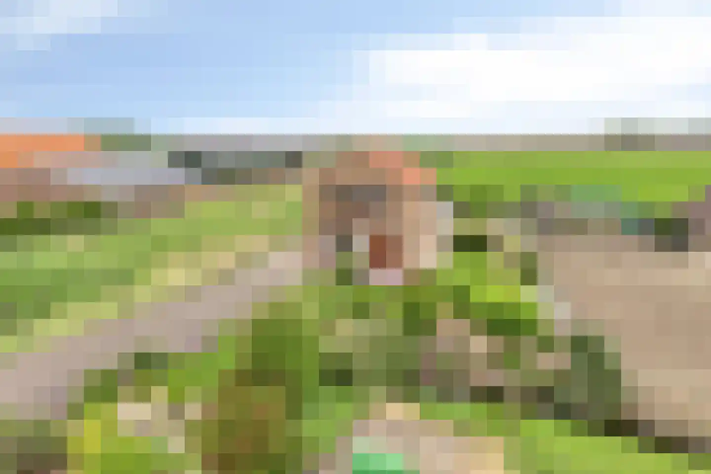Molendijk 75 Herkingen thumbnail 38