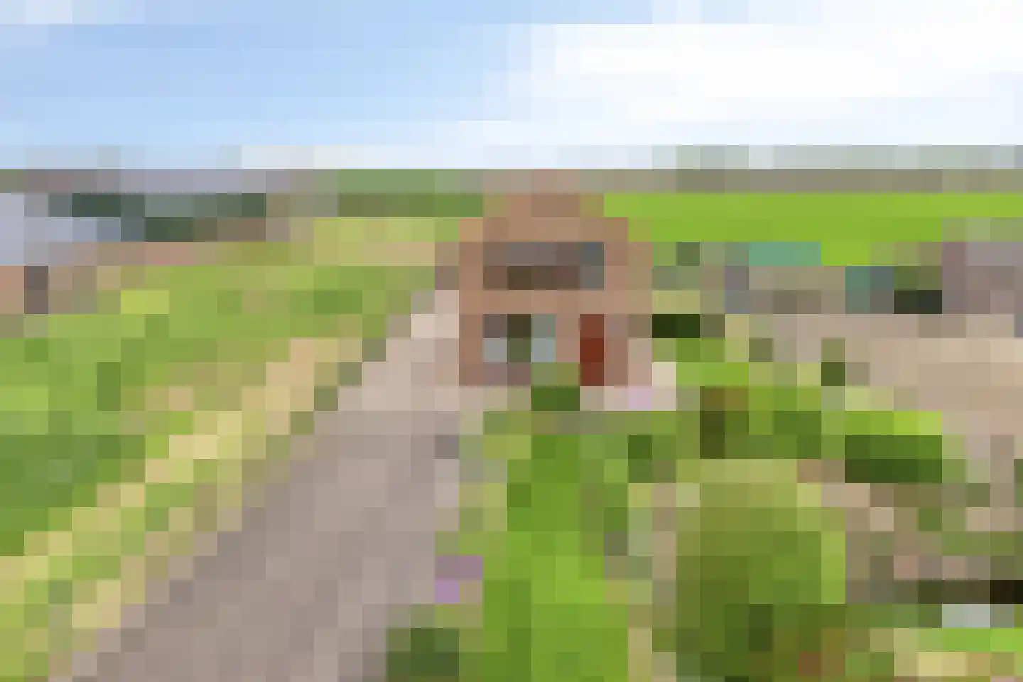 Molendijk 75 Herkingen thumbnail 4