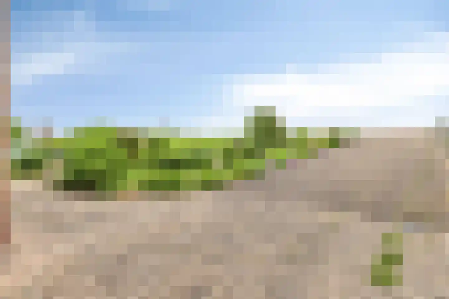 Molendijk 75 Herkingen thumbnail 40
